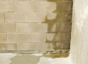 How To Find A Water Leak Inside A Wall In San Diego