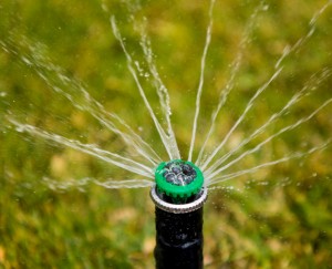 How To Spot And Stop Irrigation System Leaks In San Diego