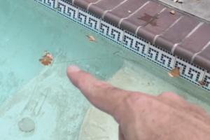 Pesky Pool Leaks Ruin Your Summer Fun In San Diego