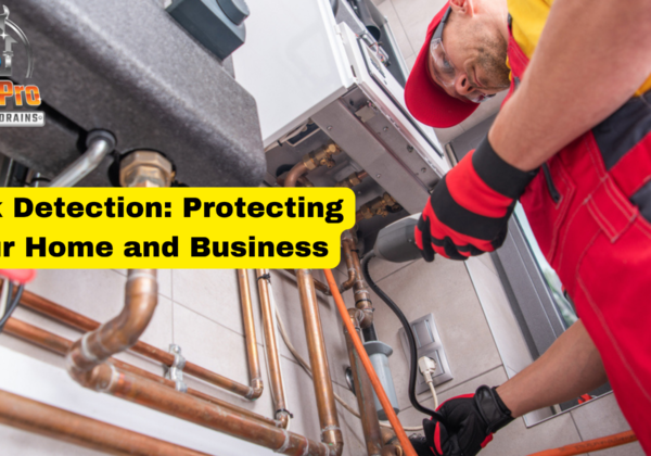 Leak Detection: Protecting Your Home and Business