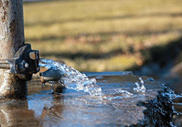 5 Ways Water Leaks Can Be Dangerous To You In San Diego