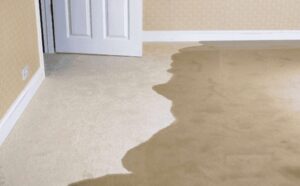 5 Key Signs of a Slab Leak: A Homeowner's Guide In San Diego