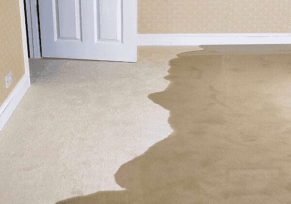 5 Key Signs of a Slab Leak: A Homeowner's Guide In San Diego