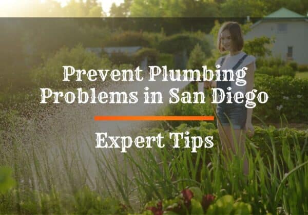 Prevent Plumbing Problems in San Diego's Dry Season: Expert Tips