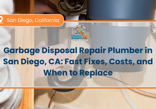Garbage disposal repair plumber San Diego