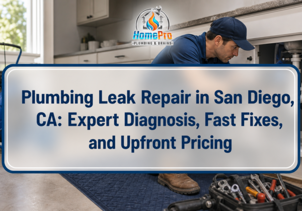 plumbing leak repair san diego